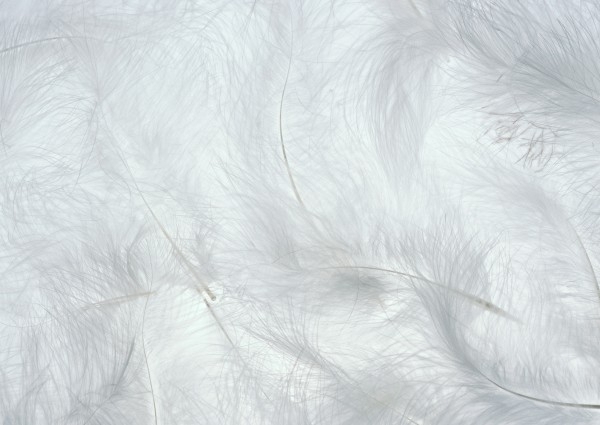 Одеяло Феличе Ecotex